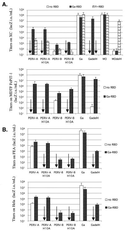 FIG. 6.