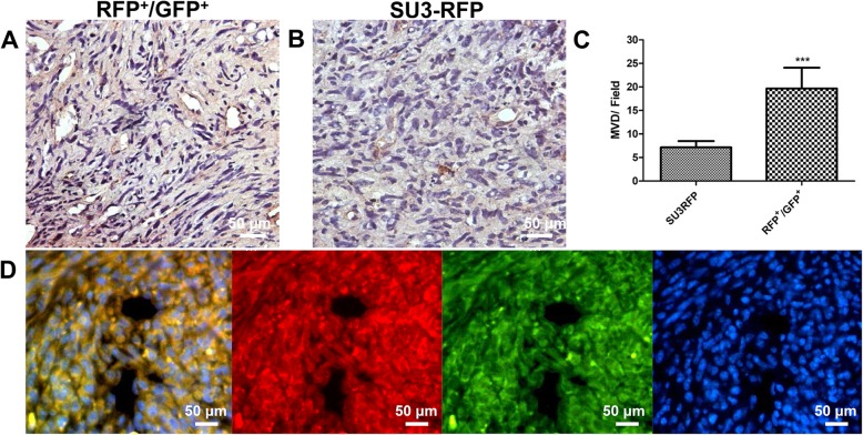 Fig. 9