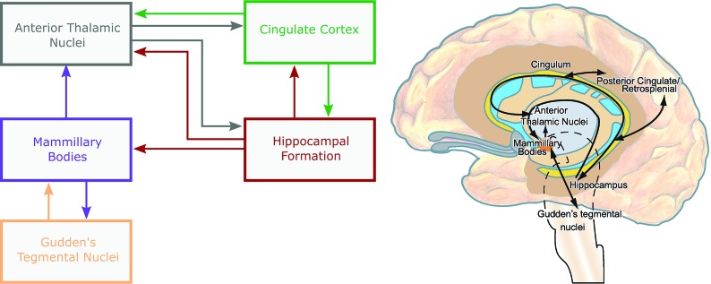 Fig 1.