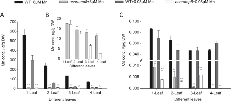 Fig. 7.