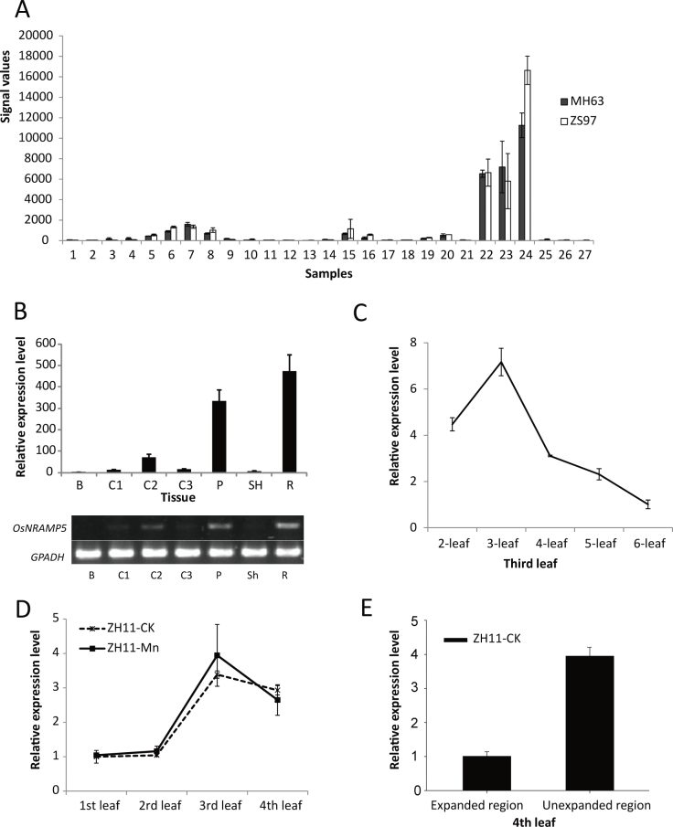 Fig. 1.