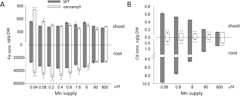 Fig. 4.