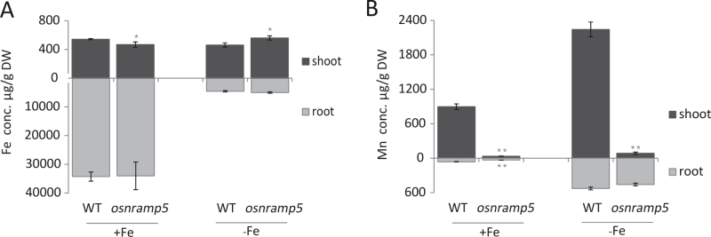 Fig. 6.