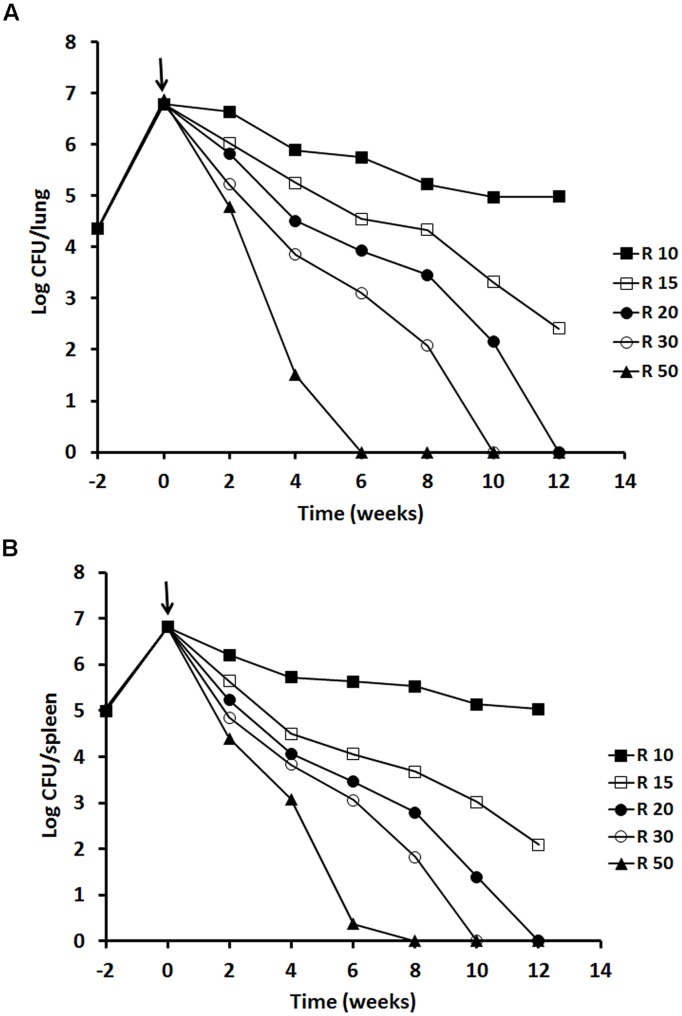 FIGURE 4