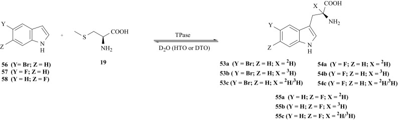 Fig. 43