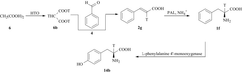 Fig. 10