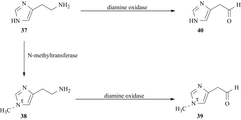 Fig. 36