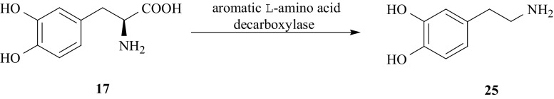 Fig. 17