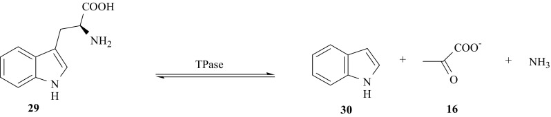 Fig. 21