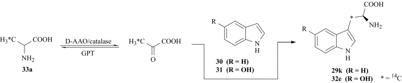 Fig. 26