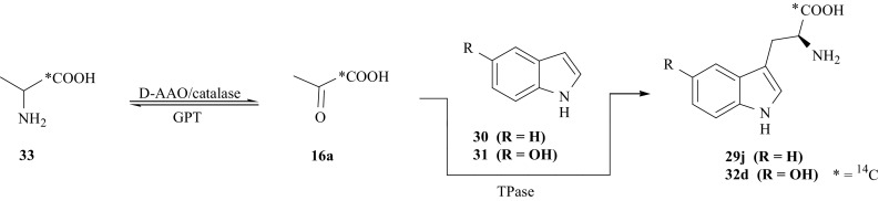 Fig. 25