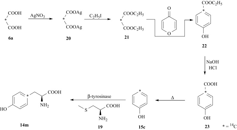 Fig. 16