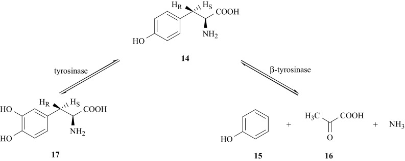 Fig. 8