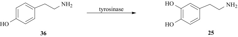 Fig. 32