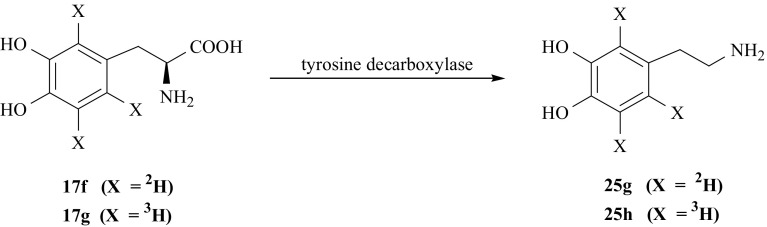 Fig. 31