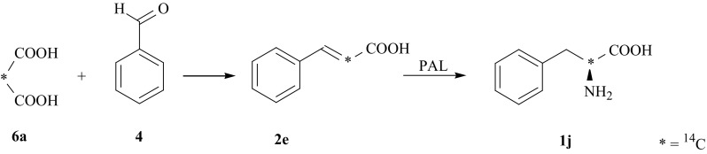 Fig. 6