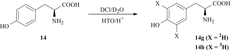 Fig. 13