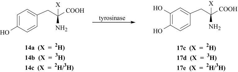 Fig. 19