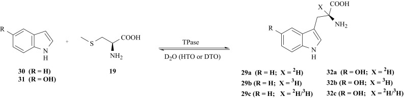 Fig. 22