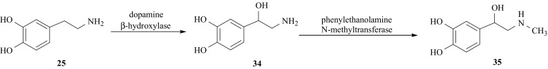 Fig. 27