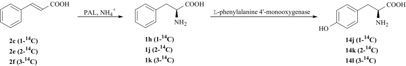 Fig. 15