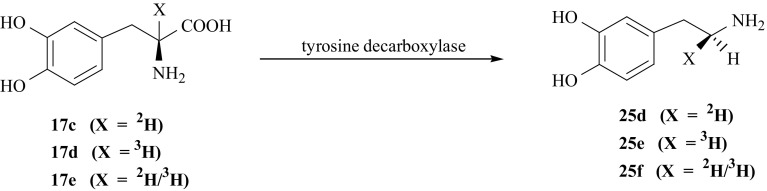 Fig. 29