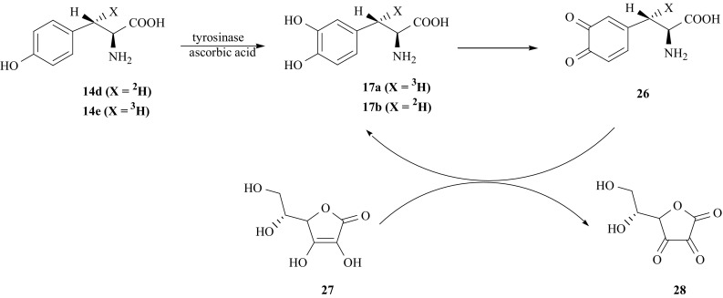 Fig. 18