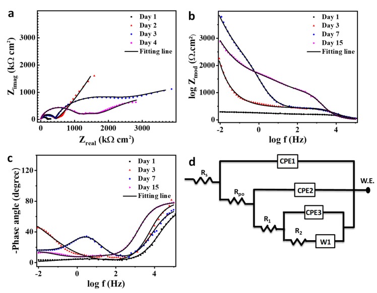 Figure 13