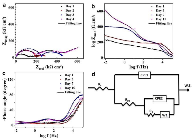 Figure 12