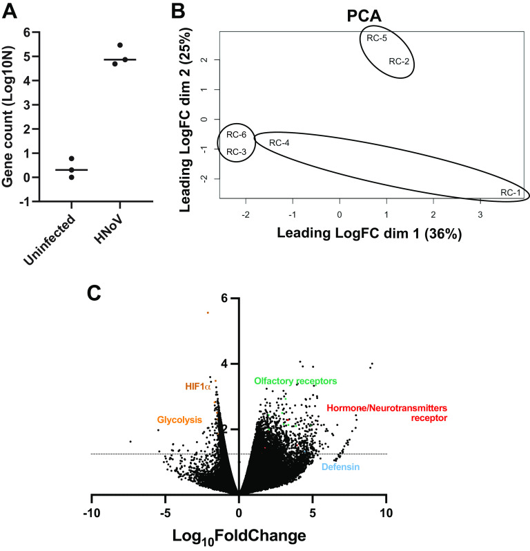 FIG 4