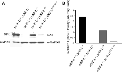 Figure 2.