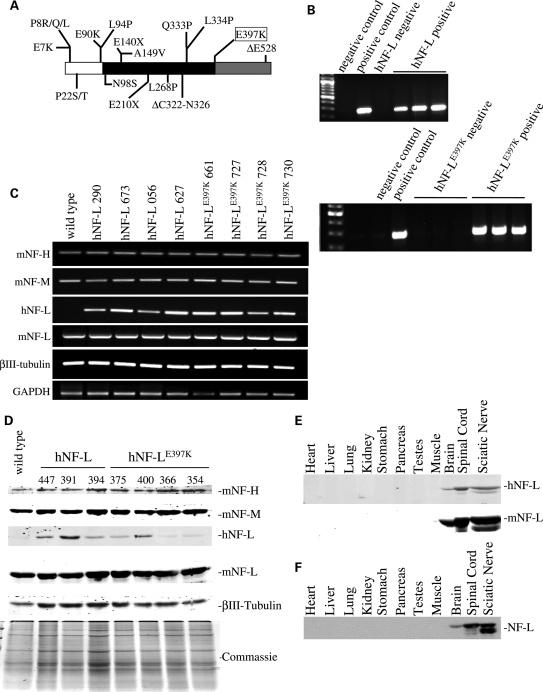 Figure 1.