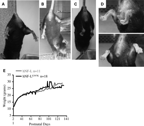 Figure 3.