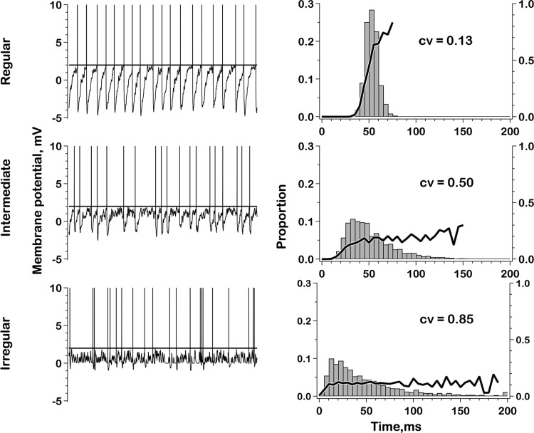 Fig. 13.