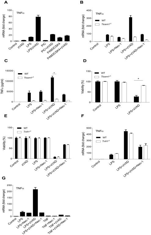 RIPK1 and RIPK3 kinases promote cell death-independent inflammation by ...