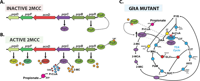 FIG 7