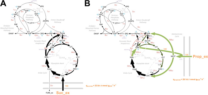 FIG 2