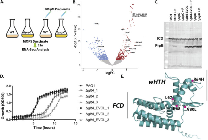 FIG 6