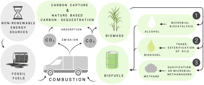 Figure 1.