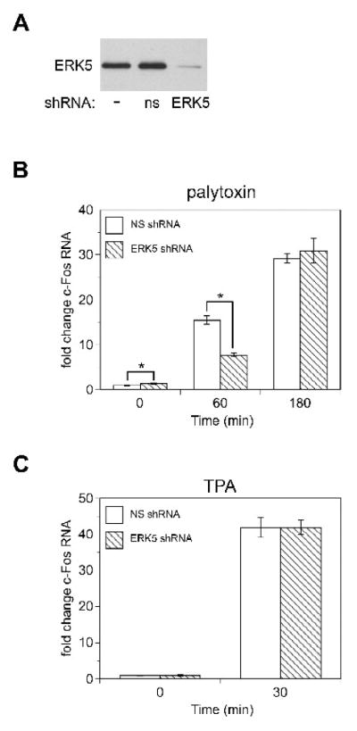 Fig. 11