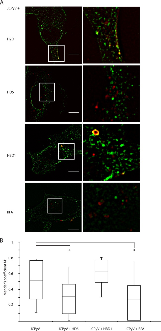 FIG 4