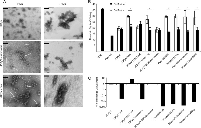 FIG 6