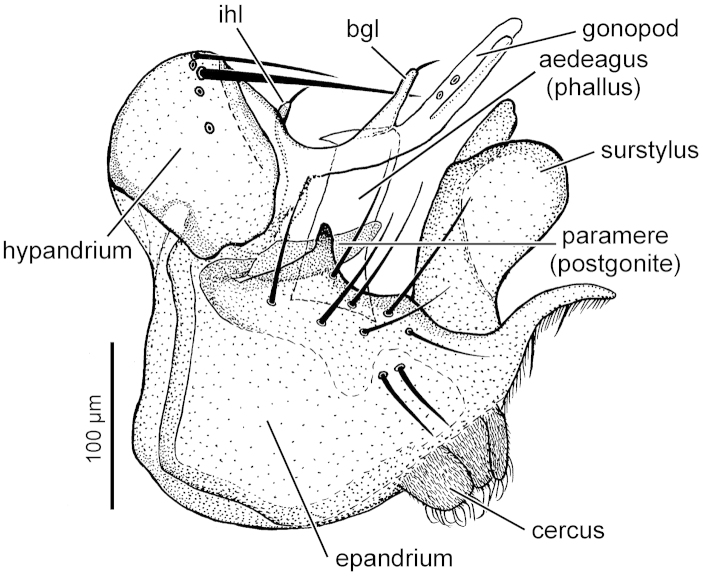 Figure 10.