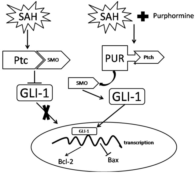 Figure 9