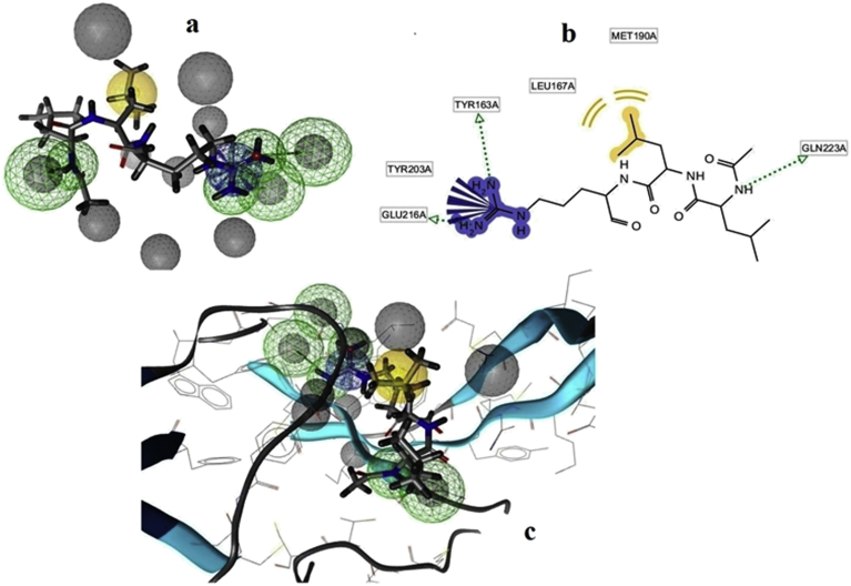 Fig. 2