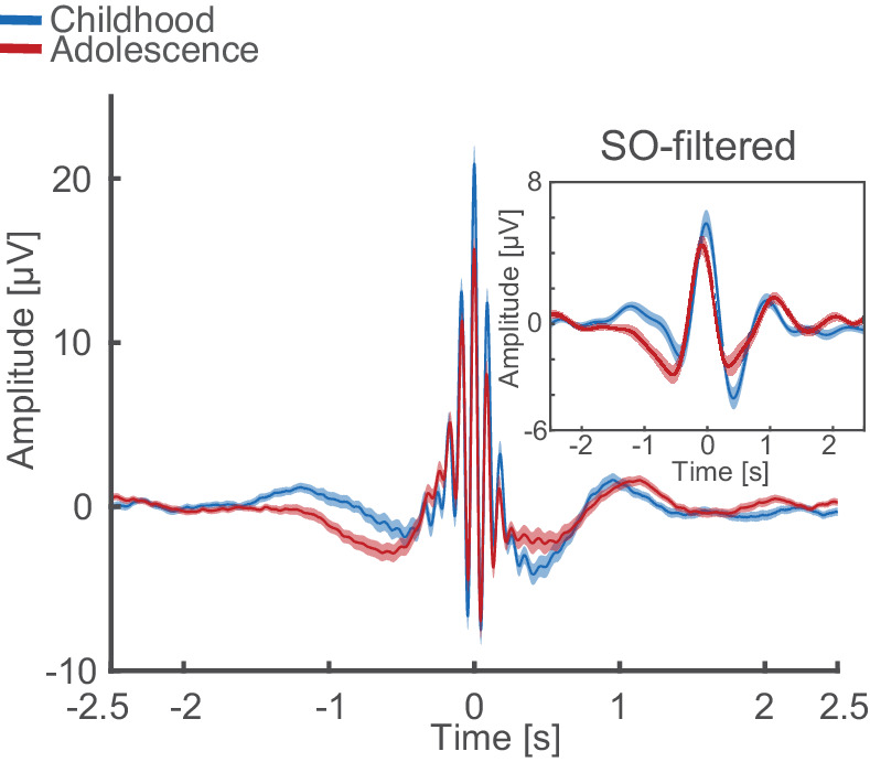 Figure 3—figure supplement 1.