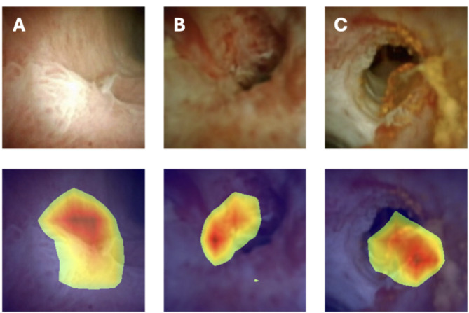 Fig. 4