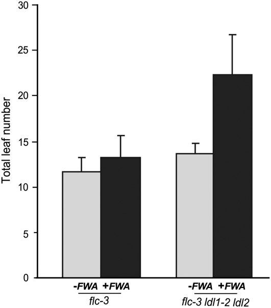 Figure 7.