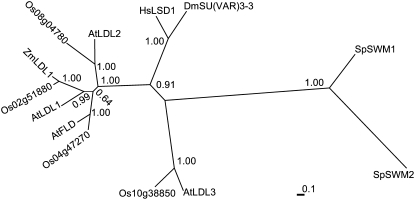 Figure 2.