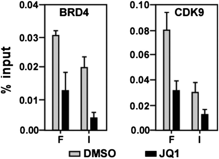 Figure 4—figure supplement 2.